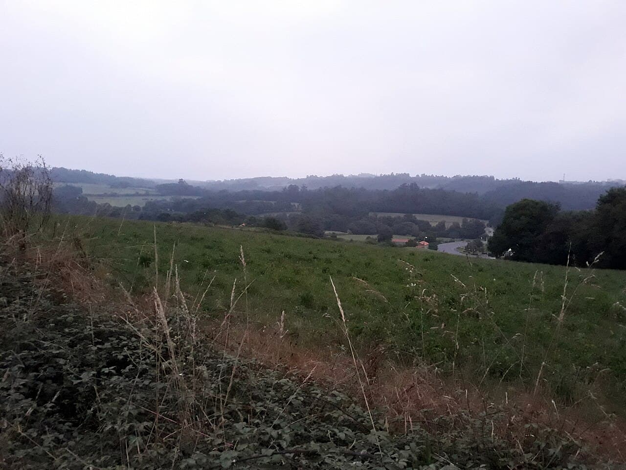 Landscape on the Camino Francés near Arzúa